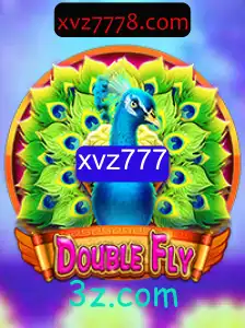 Descubra o Universo Fascinante de DoubleFly